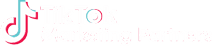 TikTok Marketing Partners