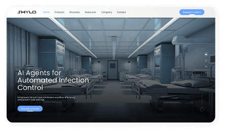Website design project